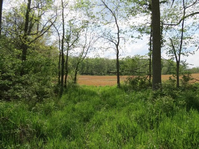 S Stony Lake Road A, Jackson, MI 49201