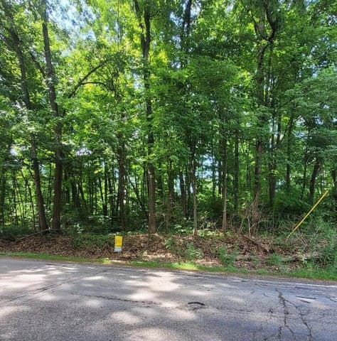11839 Vicary Road, Jerome, MI 49249