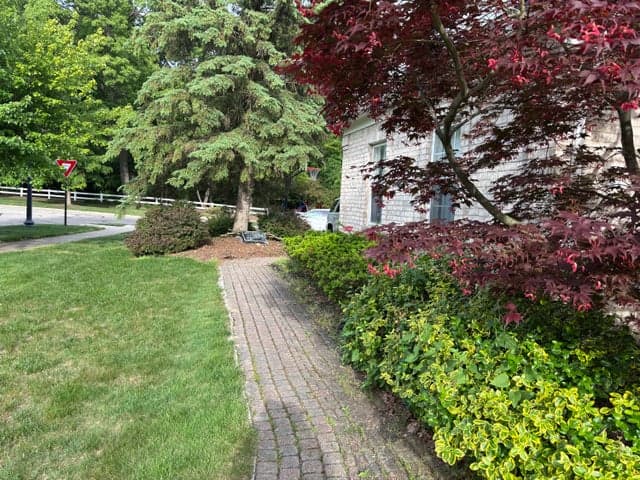 Photo 5