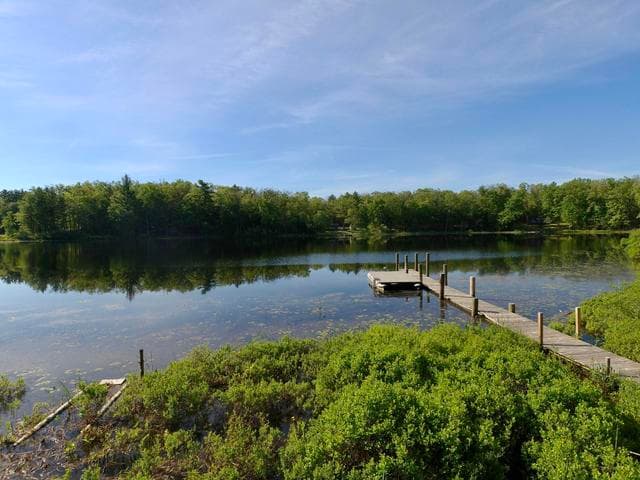 8100 N Marigold Avenue, Bitely, MI 49309