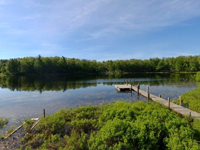 8100 N Marigold Avenue, Bitely, MI 49309