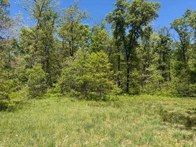 Parcel B W USFS 5196, Baldwin, MI 49304