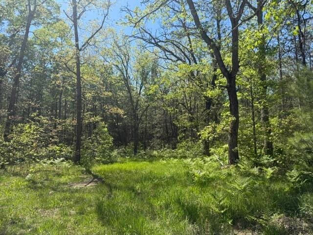 Parcel C USFS 5196, Baldwin, MI 49304