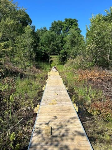 6081 Terry Drive, Six Lakes, MI 48886
