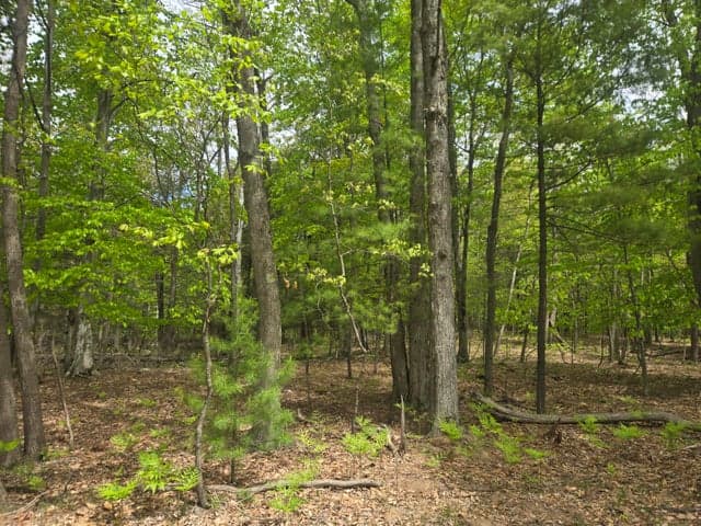 VL N Ridge Road, Mears, MI 49436