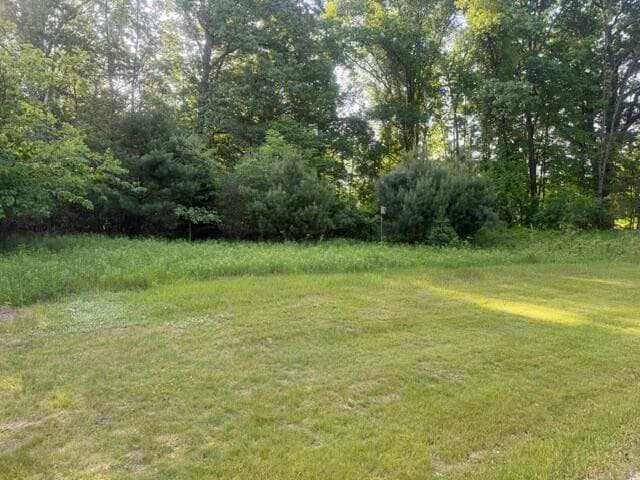 Muskegon Boulevard, Newaygo, MI 49337