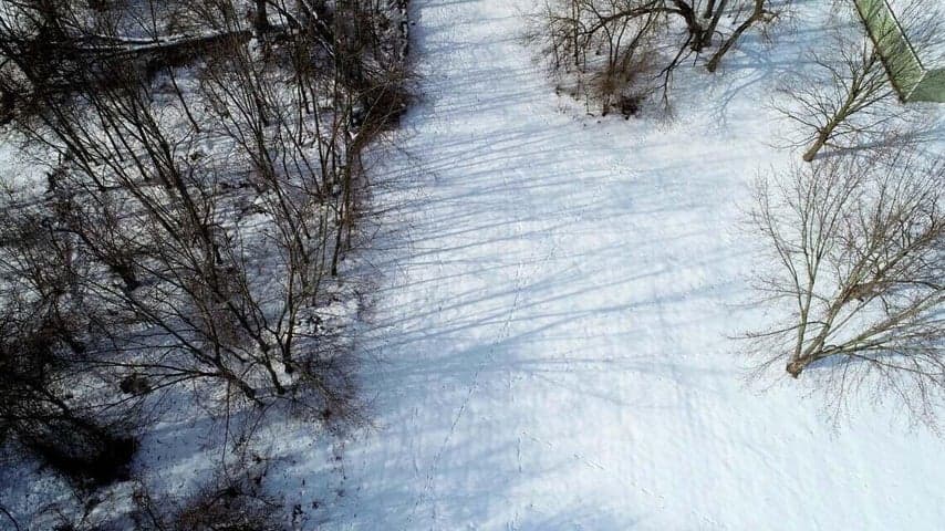 5631 Mount Vernon Avenue, Portage, MI 49024