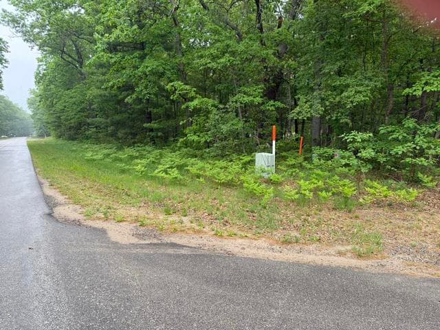 V/L E Sandra Kay Road, Fountain, MI 49410
