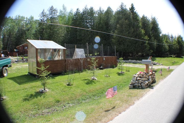 Photo 5