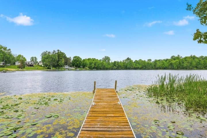 6081 Terry Drive, Six Lakes, MI 48886