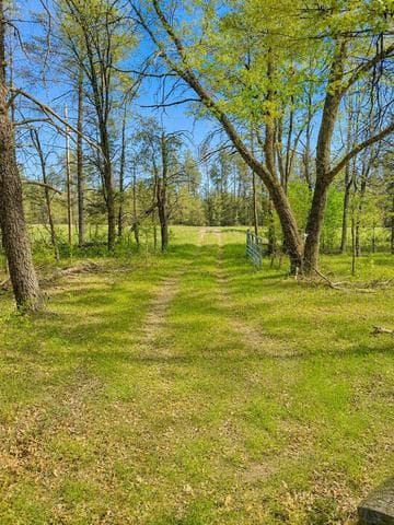 V/L Temple Drive, Marion, MI 49665