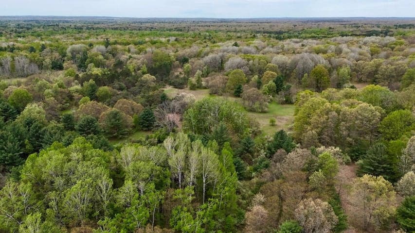 6153 S Branch Road, Branch, MI 49402