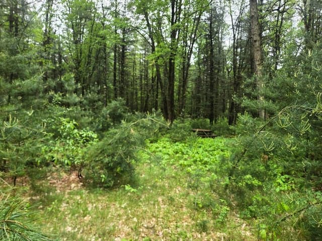 2709 S Jenny Circle, Chase, MI 49623