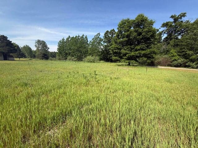 W Royal Road Lot D, Stanwood, MI 49346