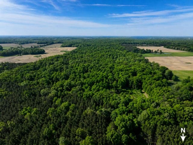 3685 Cypress Road, Blanchard, MI 49310