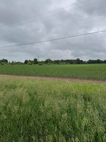 V/L Satterlee Road, Greenville, MI 48838
