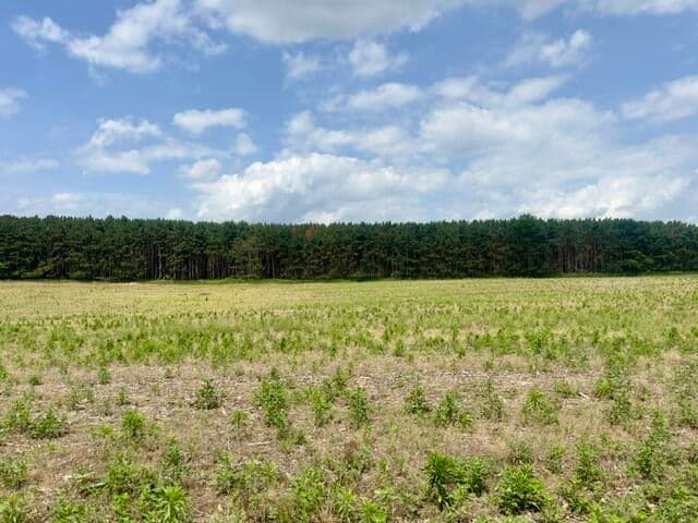 0 Seymour #E Road, Grass Lake, MI 49240