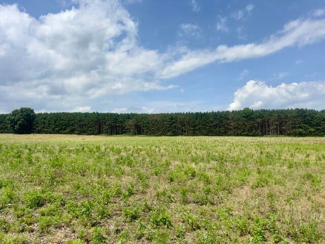 0 Seymour Road Parcel F, Grass Lake, MI 49240