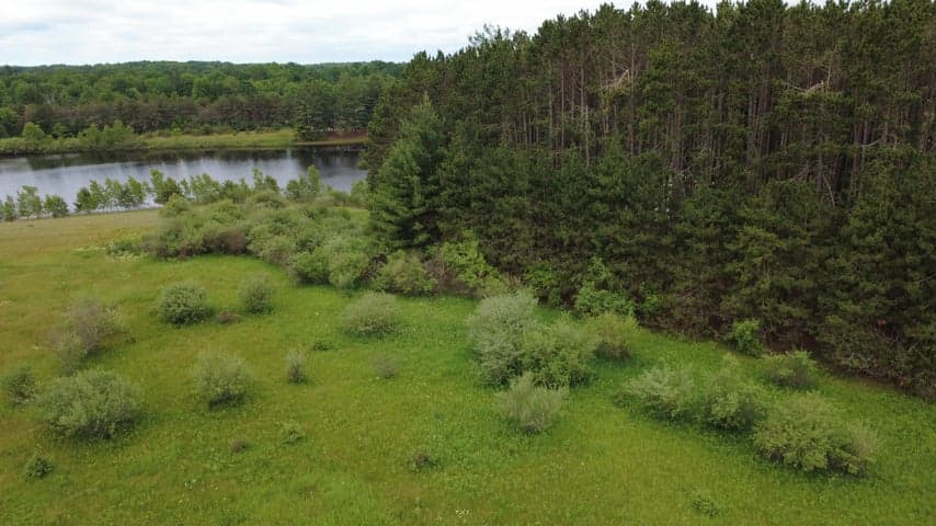 11651 Port Stewart Drive, Canadian Lakes, MI 49346