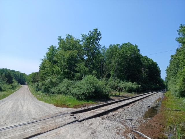 V/L E Beyer Road, Fountain, MI 49410