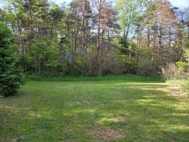 1138 N Thornapple Avenue, White Cloud, MI 49349