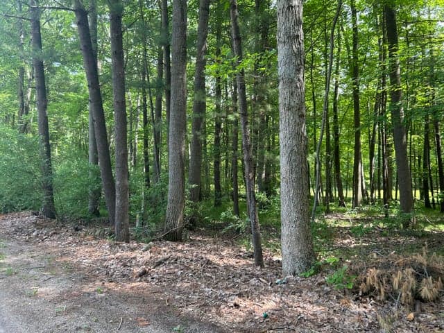 11409 Heather Lane 35, Canadian Lakes, MI 49346