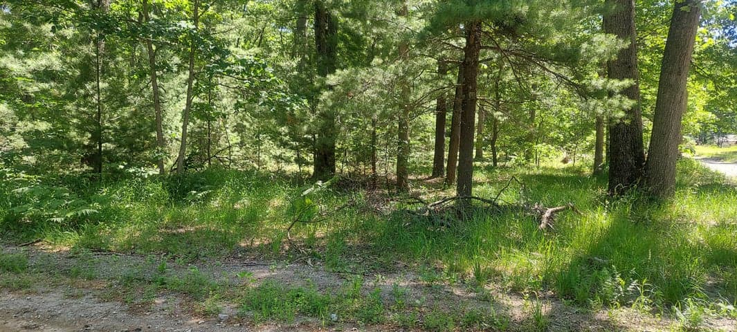 V/L Beverlyway Drive, Twin Lake, MI 49457