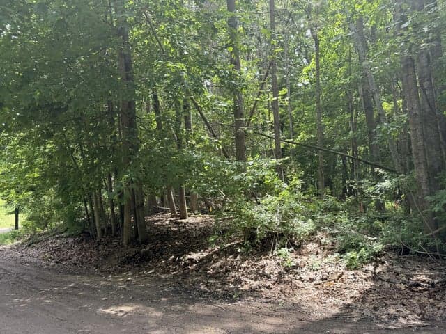 0 Longbridge Road, Pentwater, MI 49449