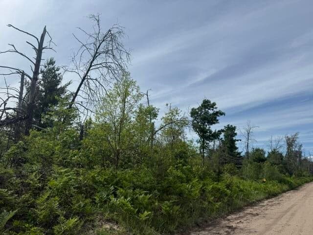 Parcel 3 Nelson Road, Idlewild, MI 49642