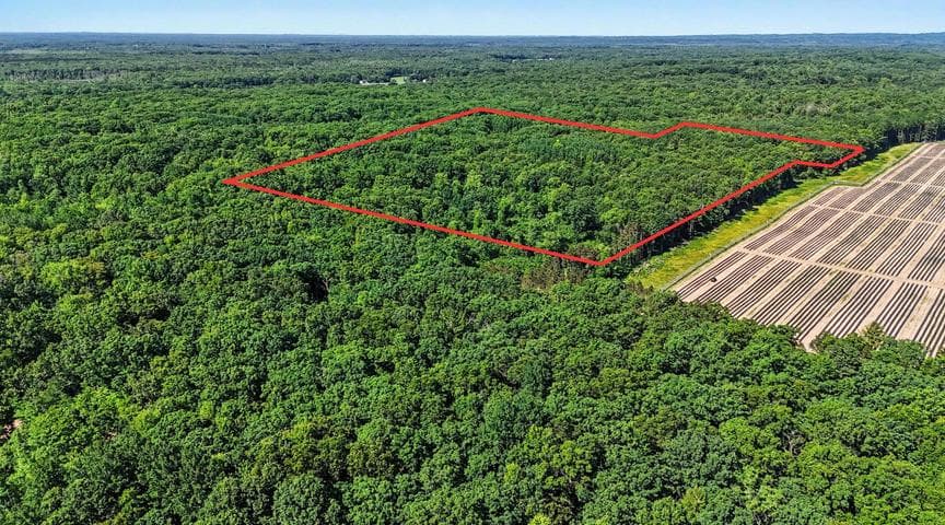 20.15 Acres S 176th Avenue, Hesperia, MI 49421