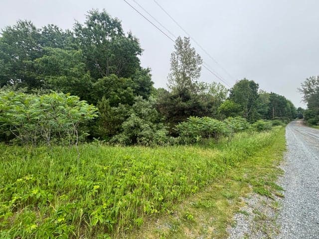 V/L 2.6A Ironwood Drive, Ludington, MI 49431