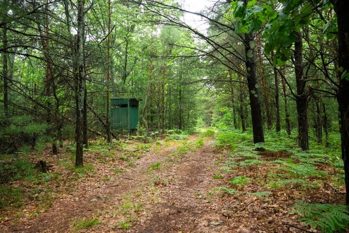 V/L 8.09A N Centerline Road, White Cloud, MI 49349