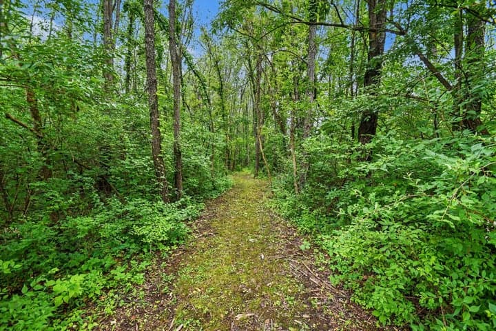 V/L Forest Shores Drive #9 Lot, Cassopolis, MI 49031