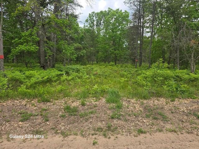0000 S Forman Road 3, Baldwin, MI 49304