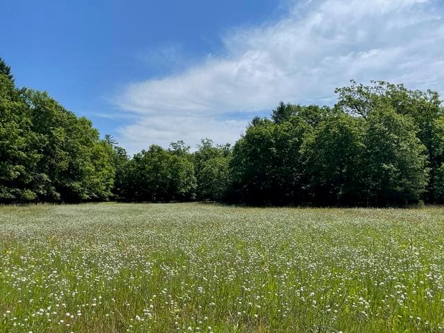 10652 N River Road E, Irons, MI 49644