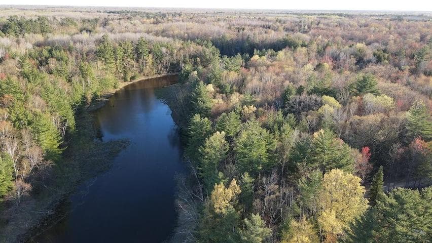 Lot 9 V/L Wildwood Road, Alger, MI 48610