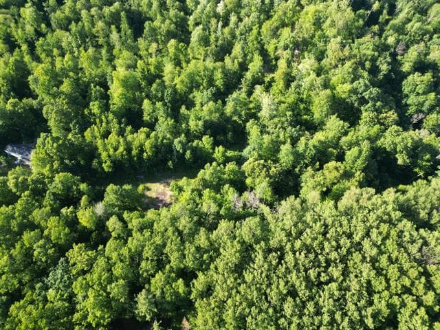 5170 Rocky Top Parcel B Lane, Pierson, MI 49339