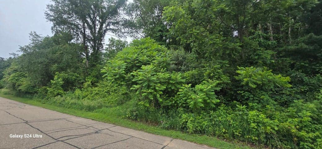 V/L Lakefront Drive, Delton, MI 49046