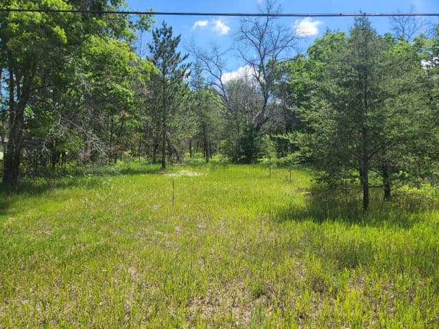 3496 S Michigan 37, Baldwin, MI 49304