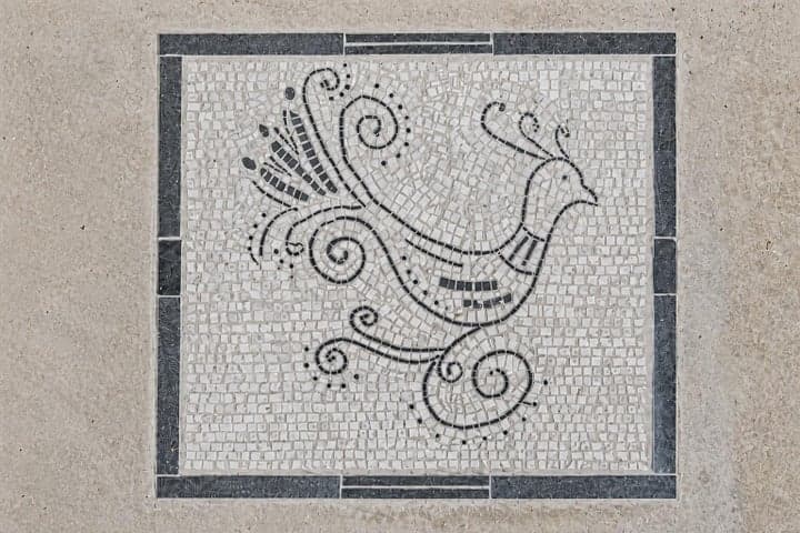 Photo 4