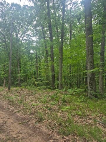 6622 E Spruce Road, Fountain, MI 49410