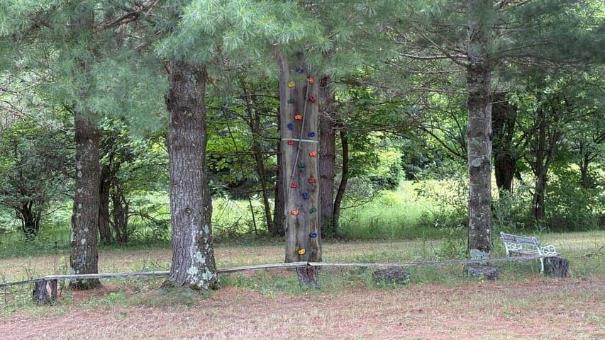 Photo 4