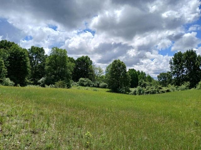 24A V/L E Beyer Road, Fountain, MI 49410
