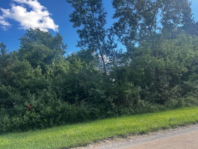 W Ranger Road 119 lot, Perrinton, MI 48871