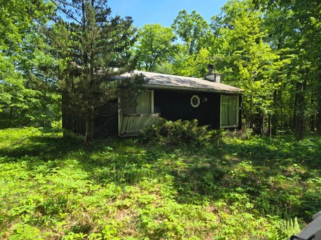 294 W Ingerman Drive, Baldwin, MI 49304