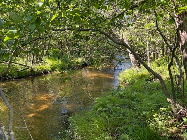 2.27 Acres W Shelby Road, Shelby, MI 49455