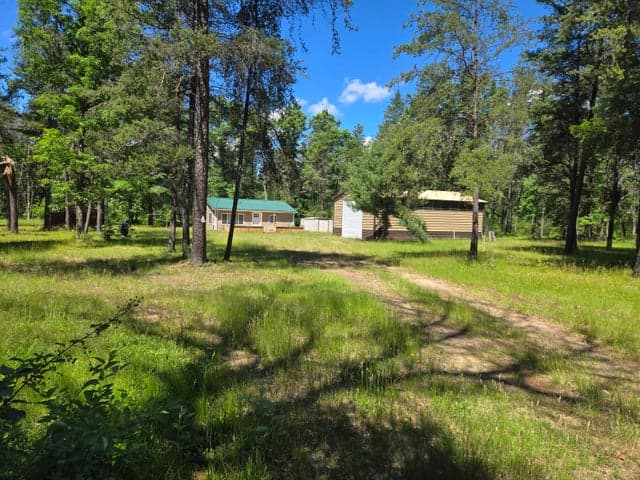 3800 W 4 Mile Road, Irons, MI 49644