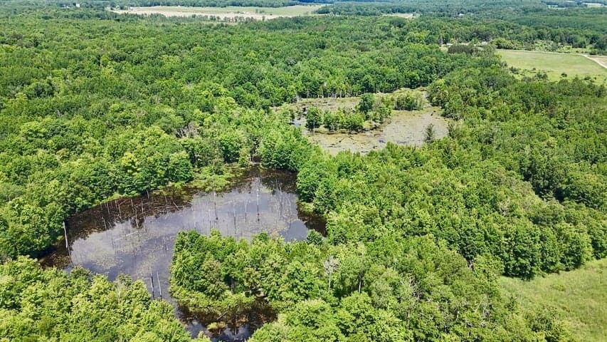 6182 Hamilton Road, Harrison, MI 48625