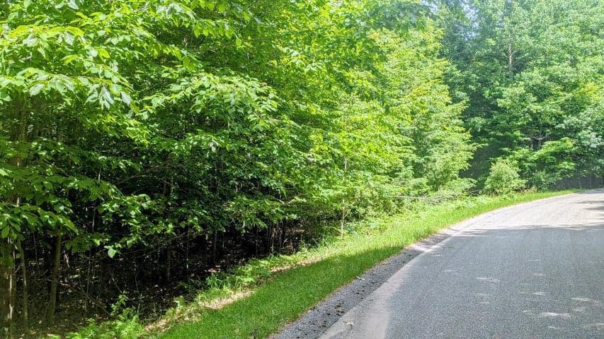 Opal Ridge Drive 68, Onekama, MI 49675