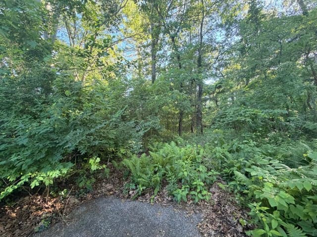 6034 River Ridge Court, Hamilton, MI 49419
